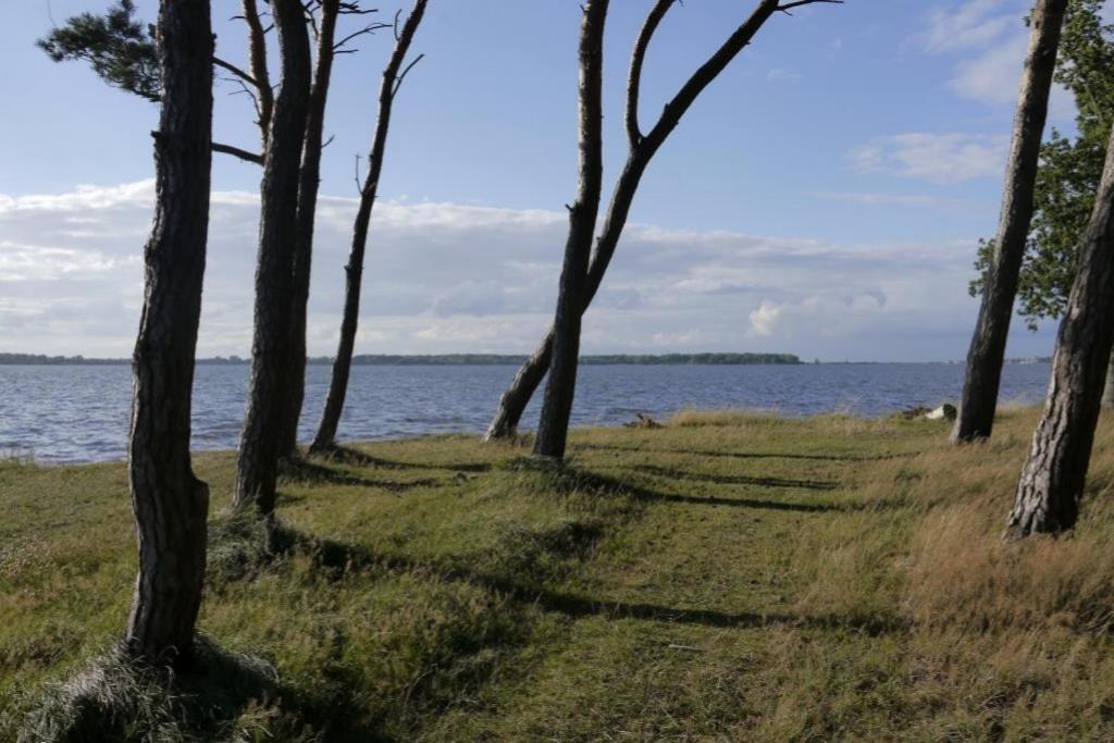 Fewo 08 Seemoewe Mit Blick Auf Salzhaff Und Ostsee Rerik Eksteriør bilde